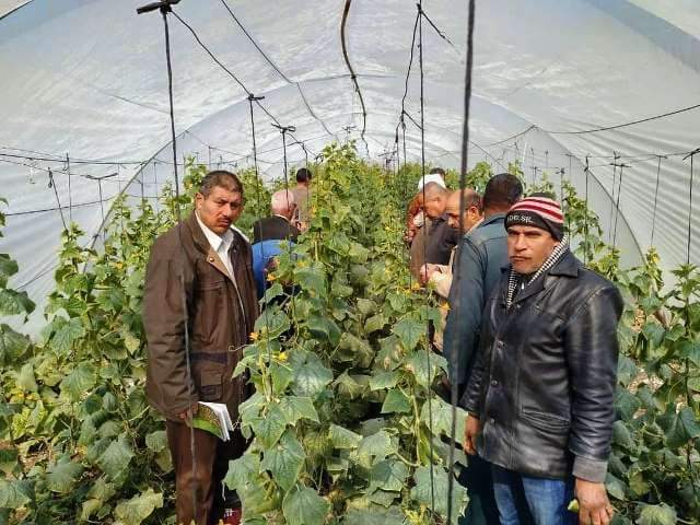 مدرسة حقلية للزراعة بالشرقية 3