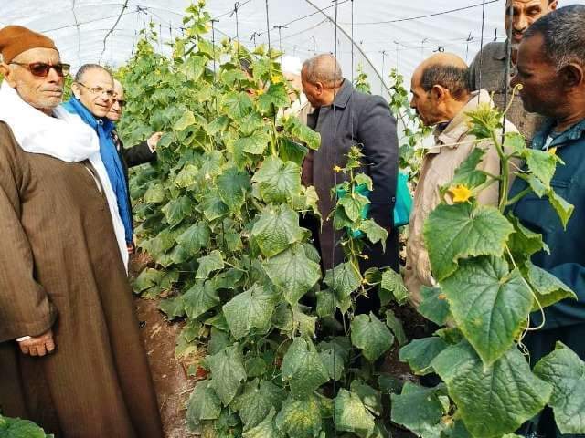 مدرسة حقلية للزراعة بالشرقية 2
