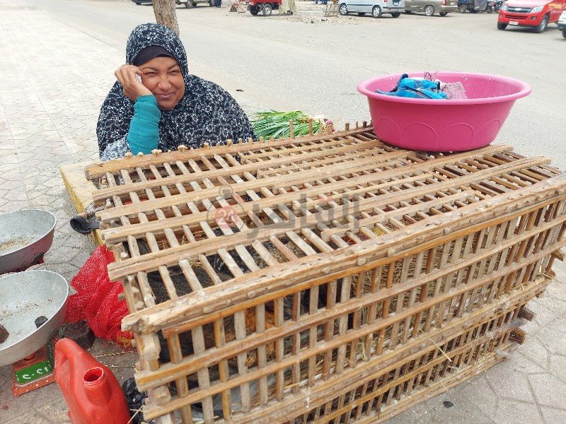 سيدة تبيع المنتجات الفلاحي تحت الأمطار ببورسعيد 5