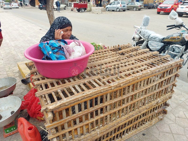 سيدة تبيع المنتجات الفلاحي تحت الأمطار ببورسعيد 3