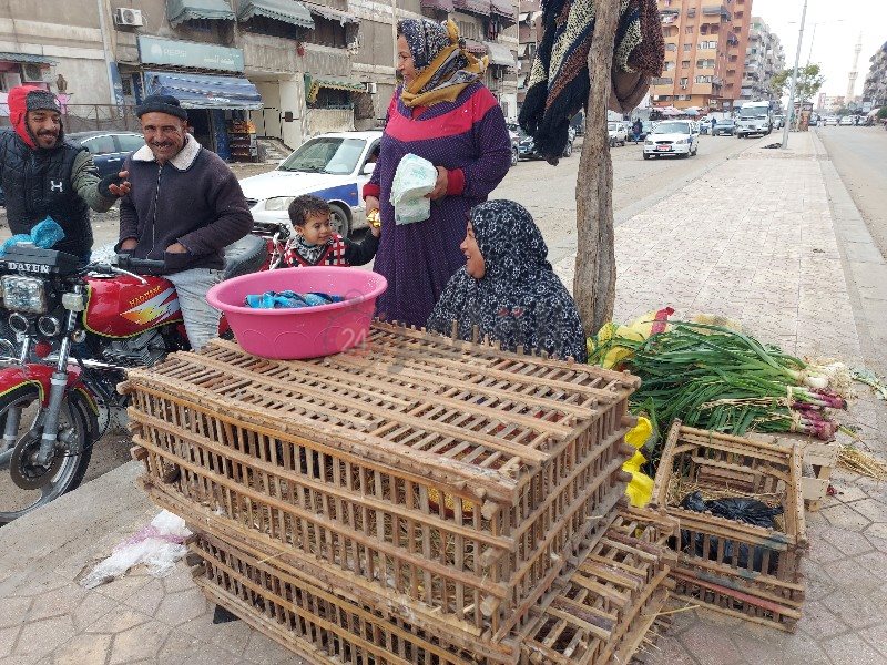 سيدة تبيع المنتجات الفلاحي تحت الأمطار ببورسعيد 