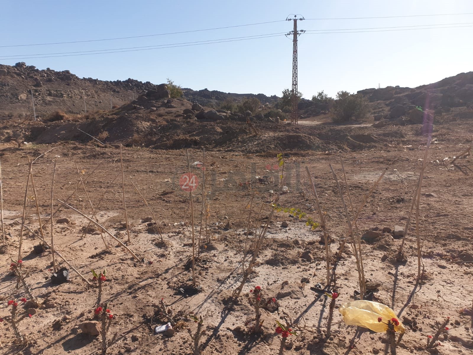 إزالة السور الأثري لمحفظة أسوان (3)