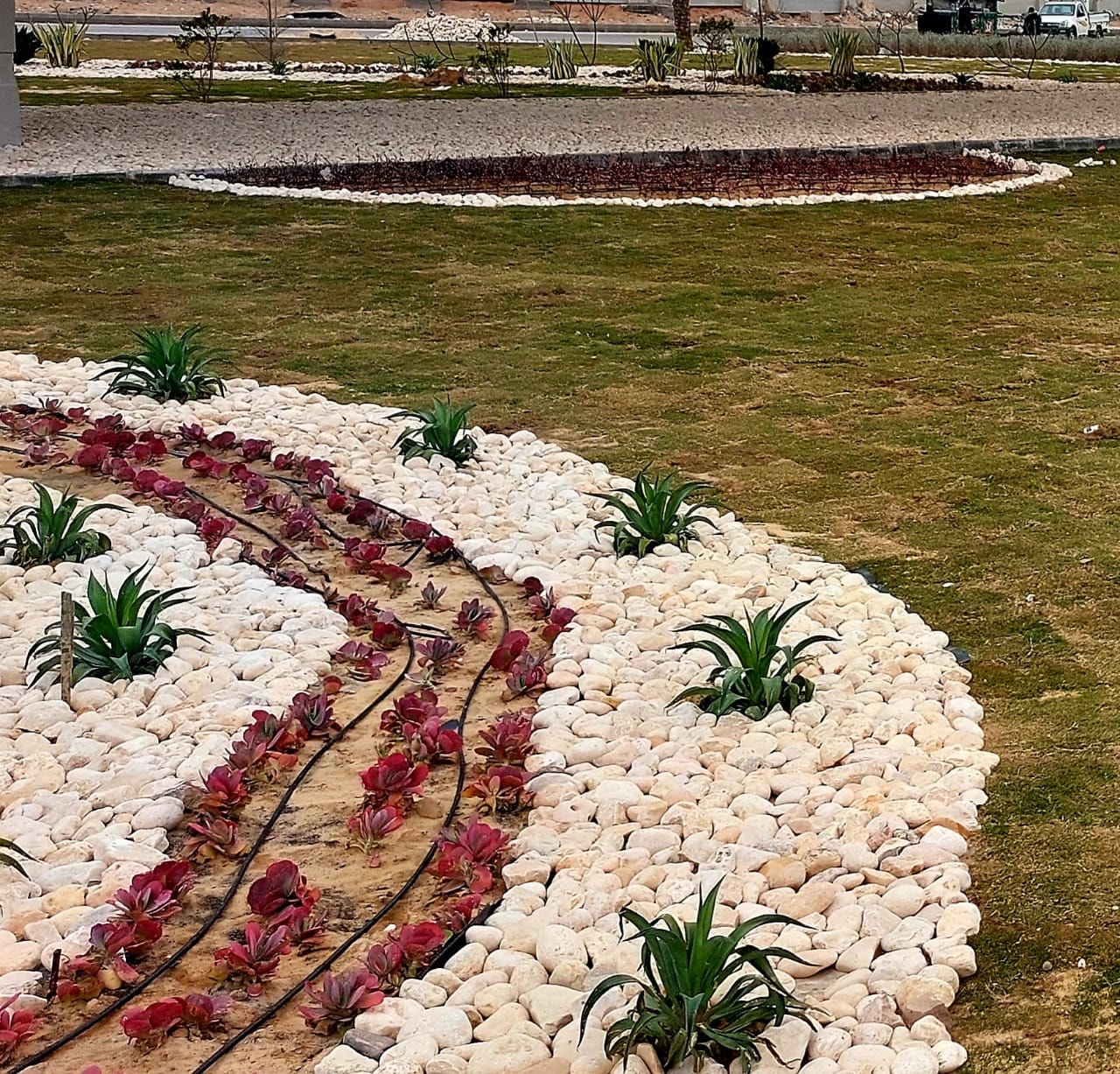 272387502_307565571396842_4949628573307232391_n