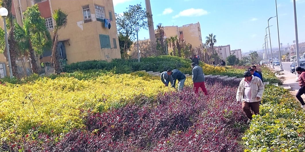 272462282_307565204730212_4619942801952540498_n