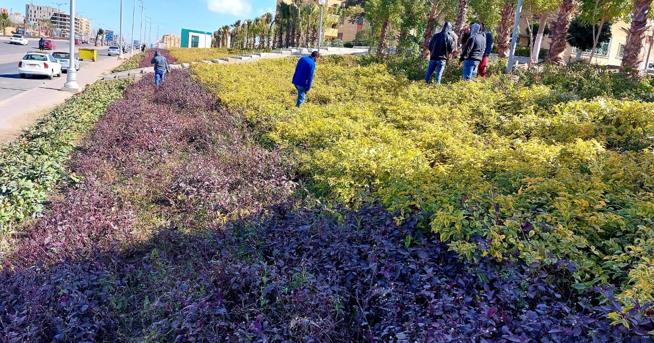 272483596_307565154730217_7023157864983166958_n