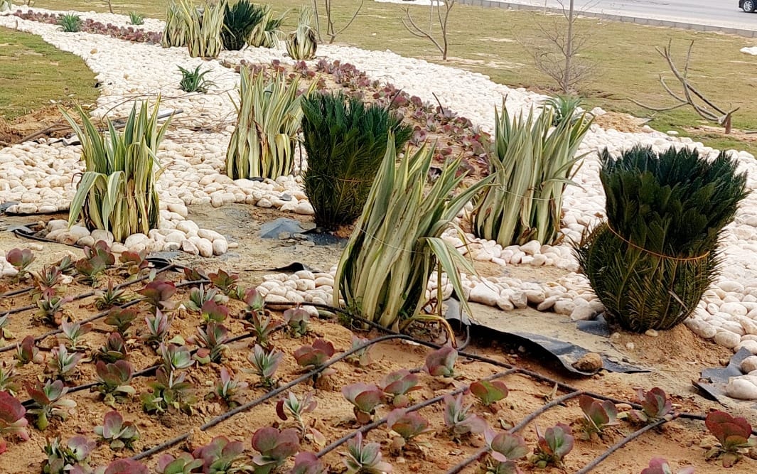 272536556_307565441396855_7279280267298081754_n