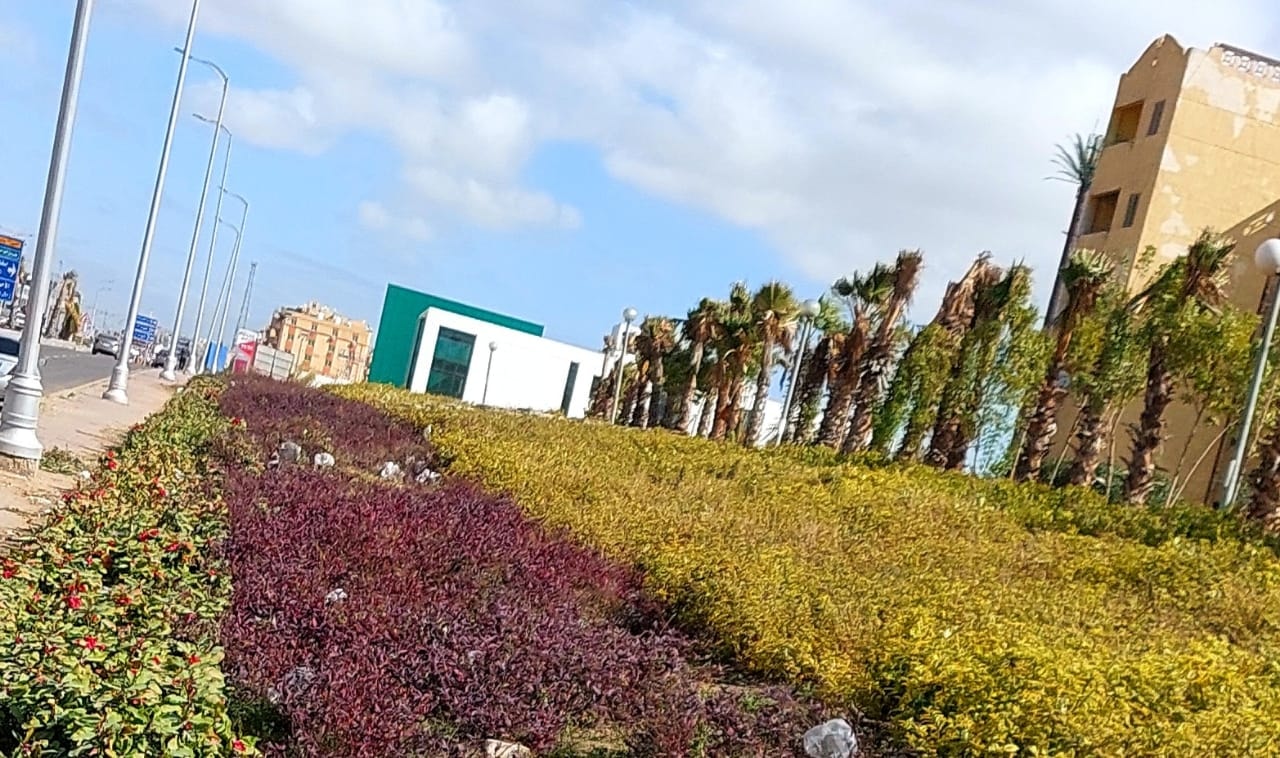 272626075_307565261396873_2251323488309269905_n