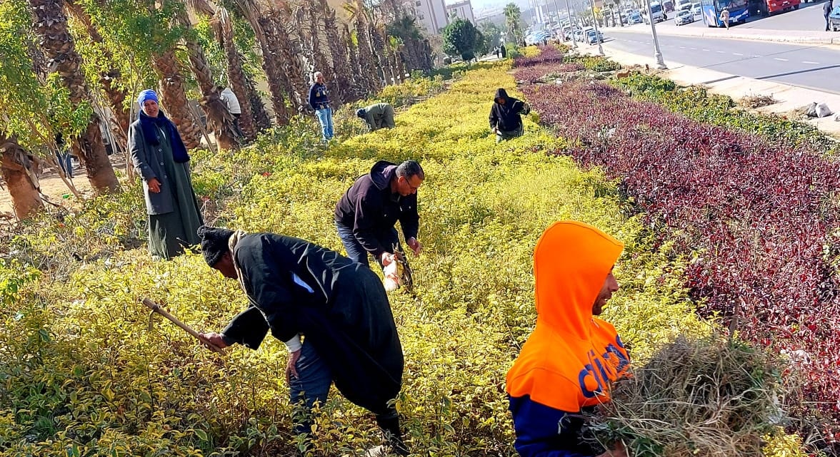 272733911_307565008063565_1905243103519005011_n