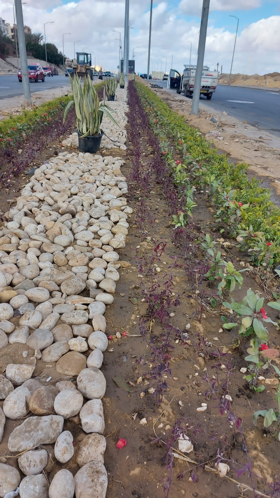 272788447_307564338063632_1263841188614568302_n