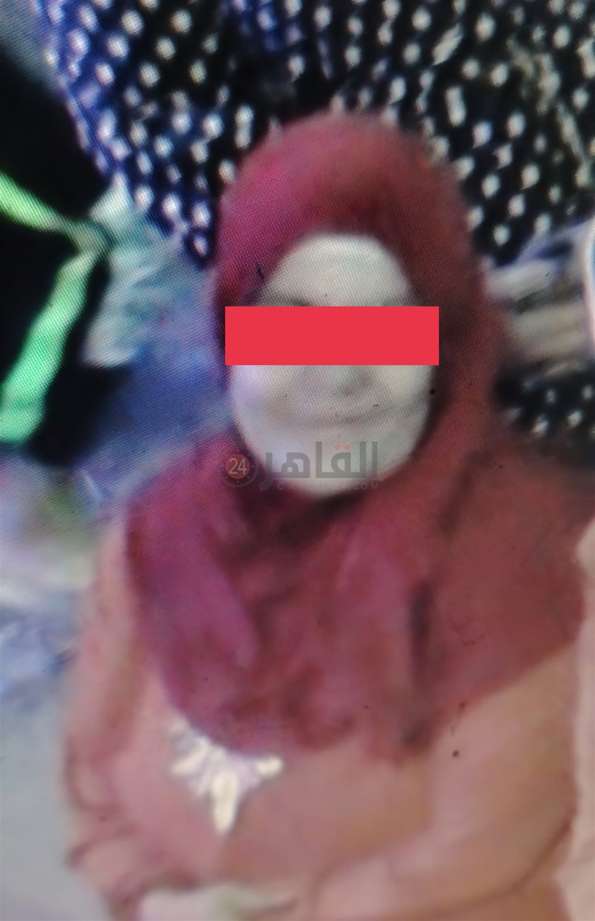 المتهمة غندورة