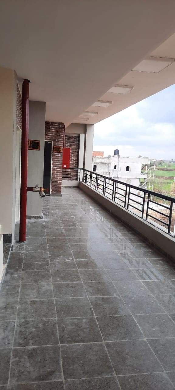 FB_IMG_1644565865127