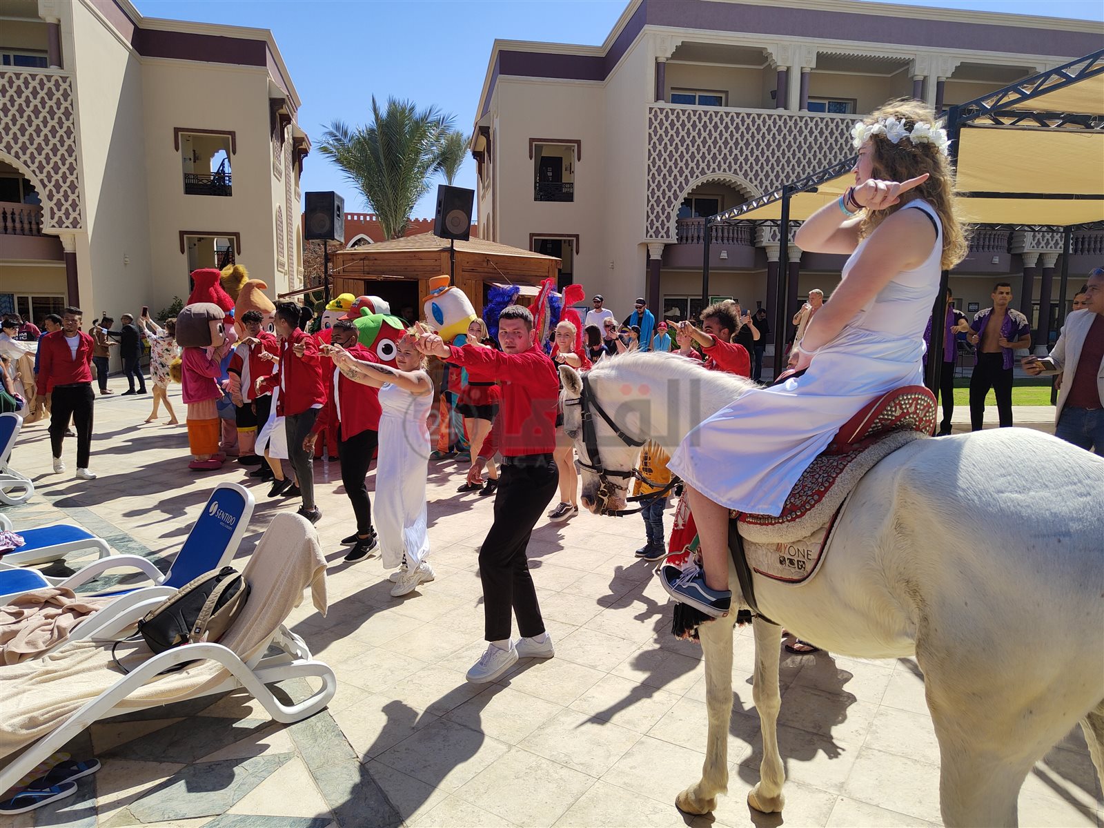 احتفالات عيد الحب بفنادق الغردقة