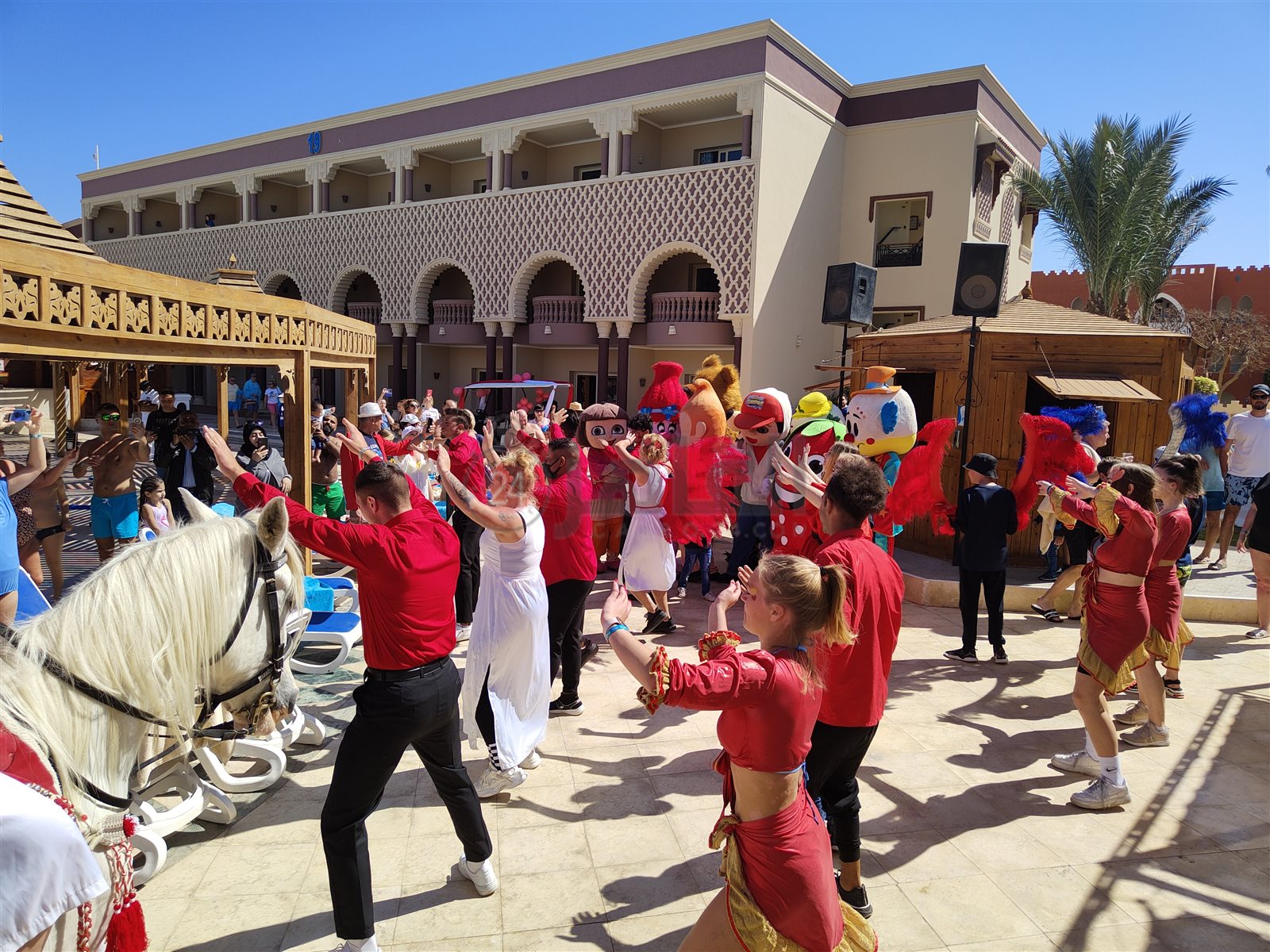 احتفالات عيد الحب بفنادق الغردقة