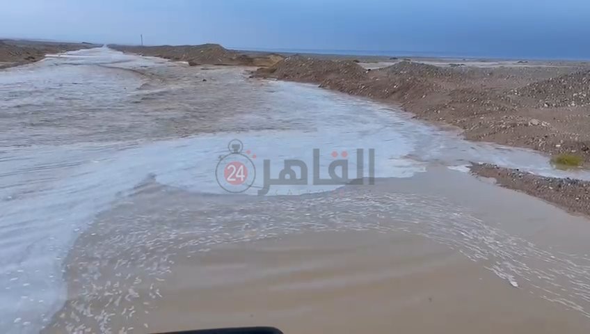 IMG_٢٠٢٢٠٢١٩_٠٨٤٢٣٥١٨