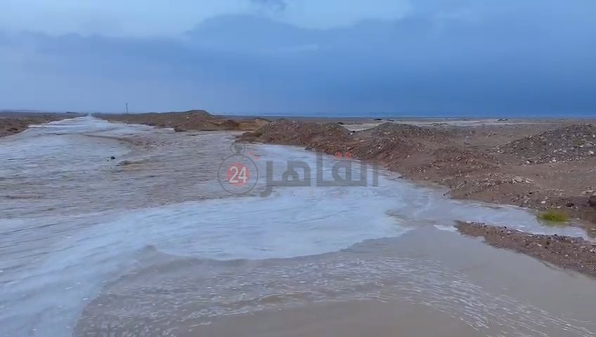 IMG_٢٠٢٢٠٢١٩_٠٨٤٢٣٢٣١