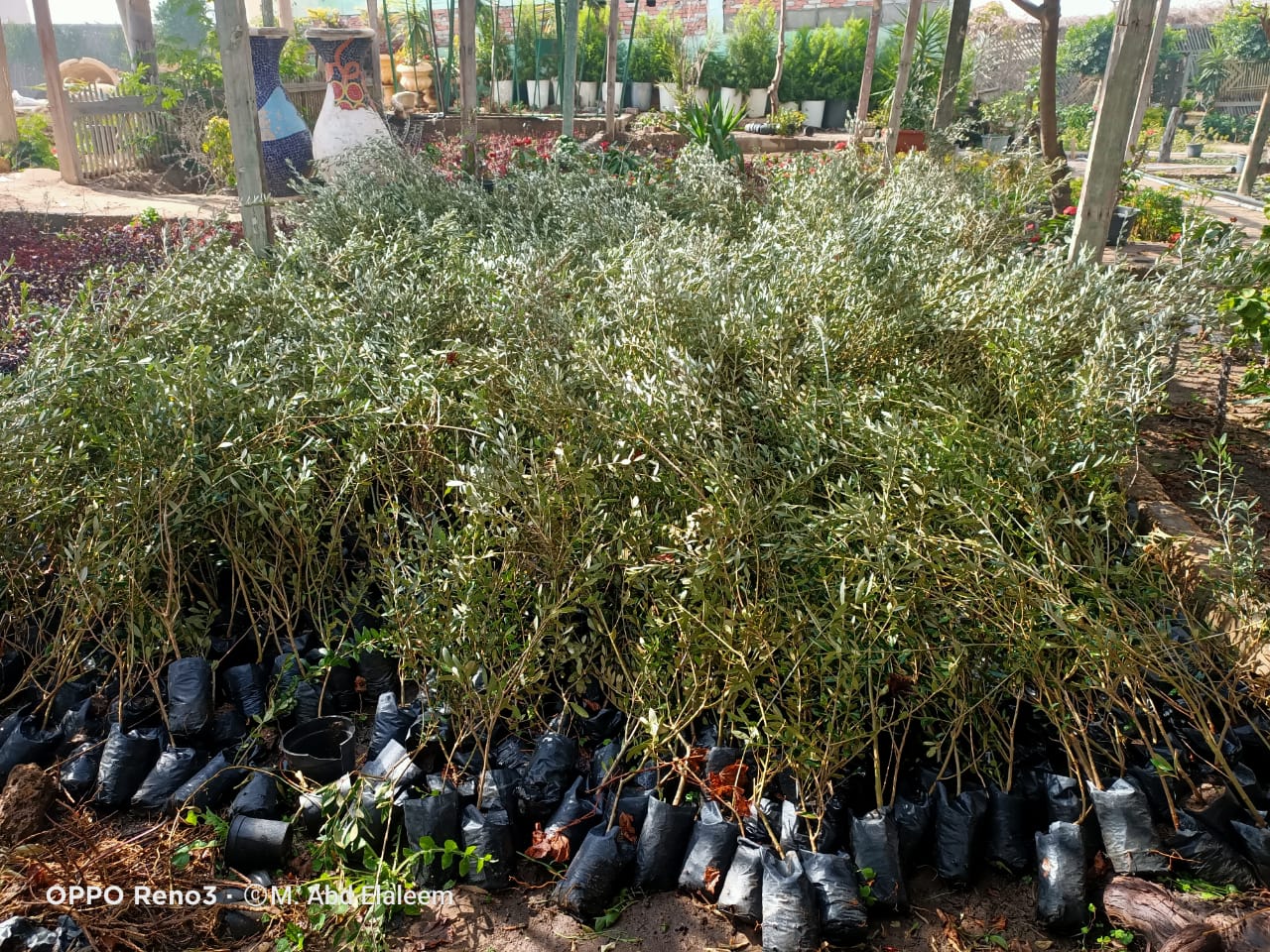 5CC8E00C-4B1E-49DB-8CE4-47C8385E994C