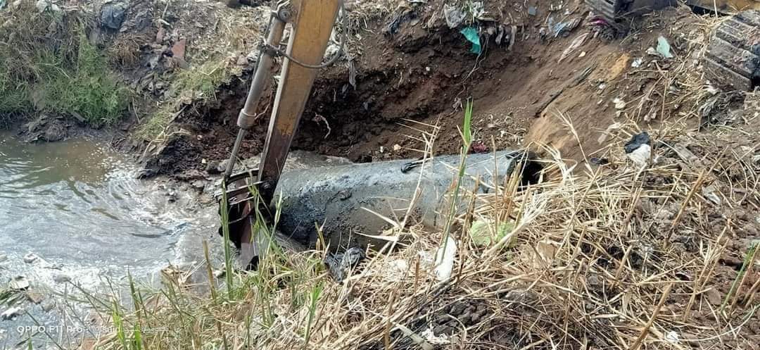 FB_IMG_1645642207812