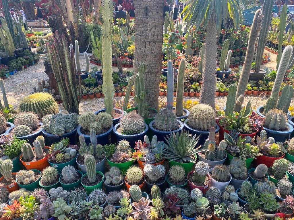 حديقة الأورمان (2)