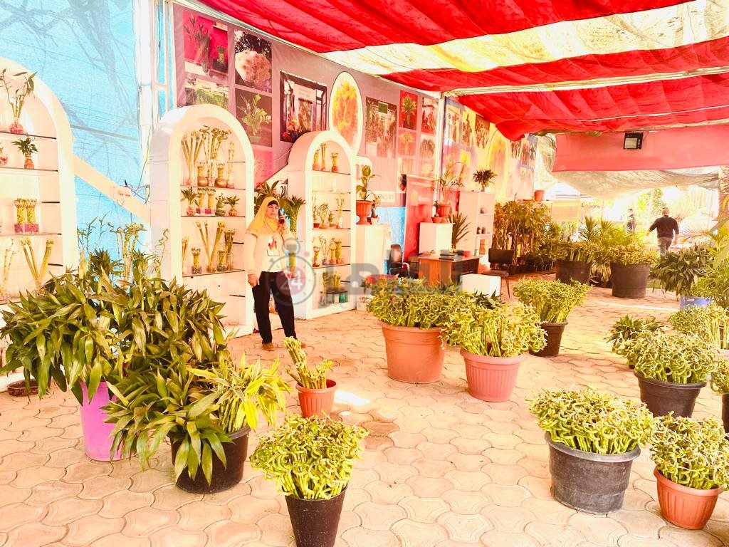 حديقة الأورمان (5)