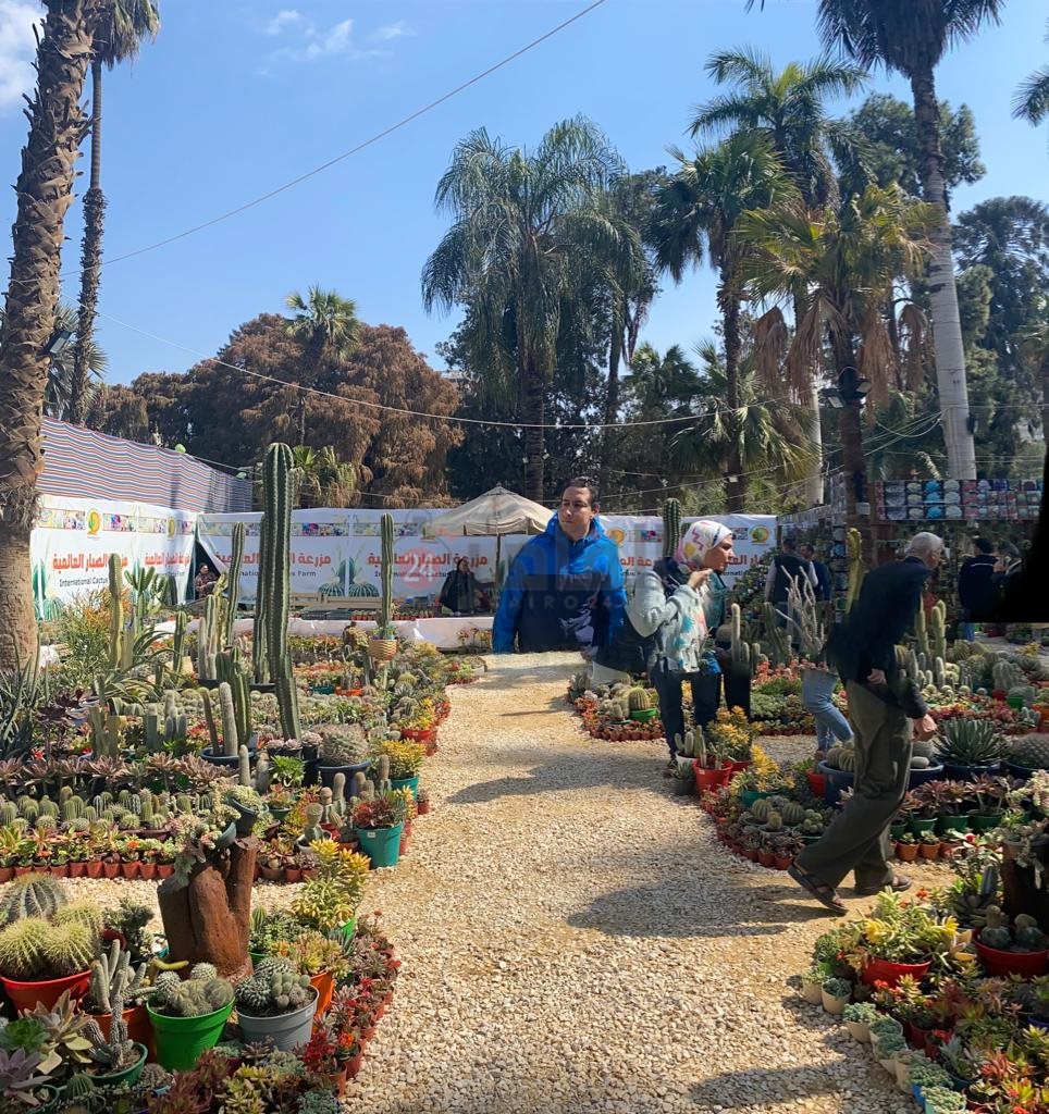 حديقة الأورمان (6)