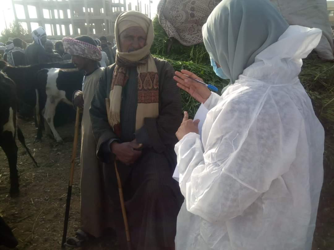 حملات الطب البيطري في الأقصر 