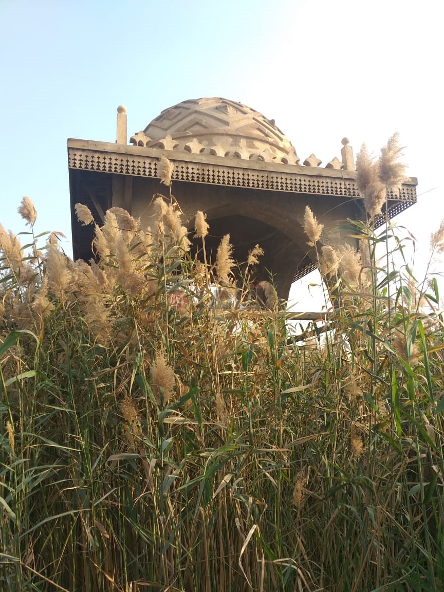 قبر رقية دودو 4