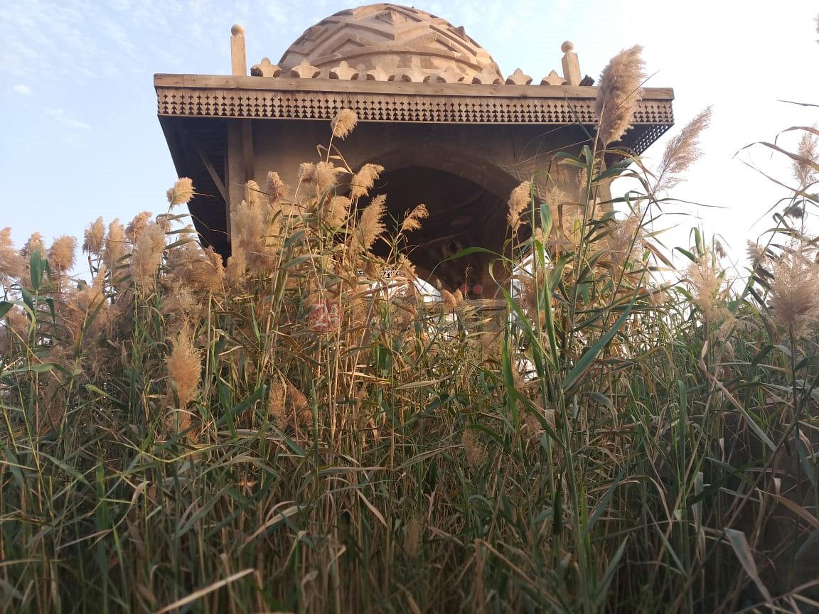 قبر رقية دودو 6