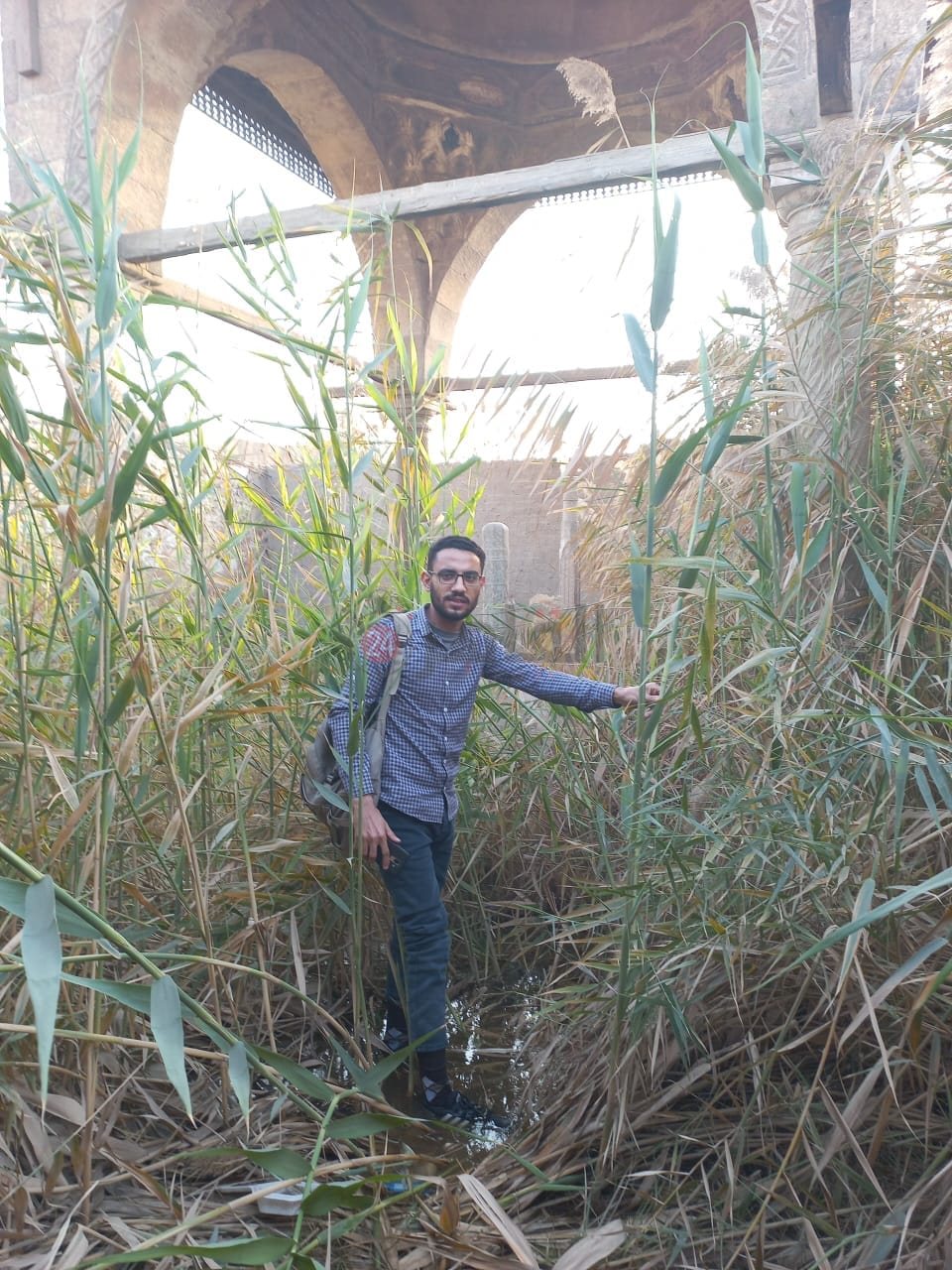 محرر القاهرة 24 داخل قبر رقية دودو