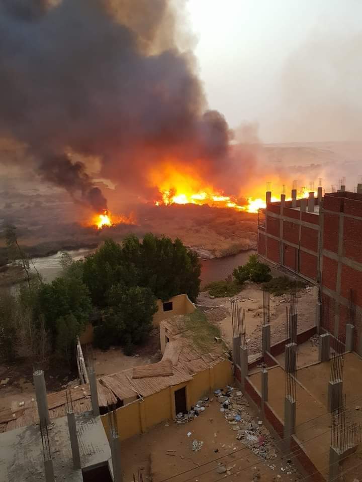 حريق في زراعات أسوان