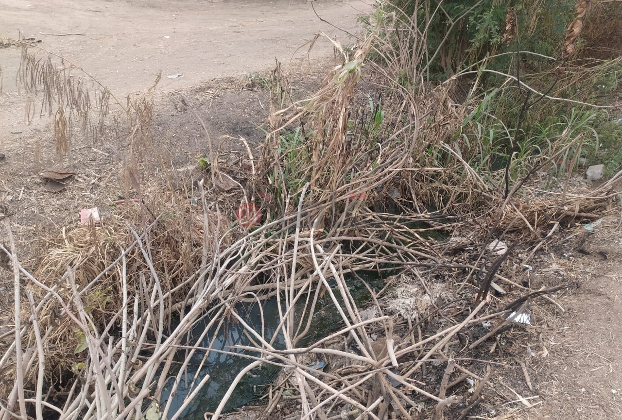 اختلاط مياه الصرف الصحي بمياه الري