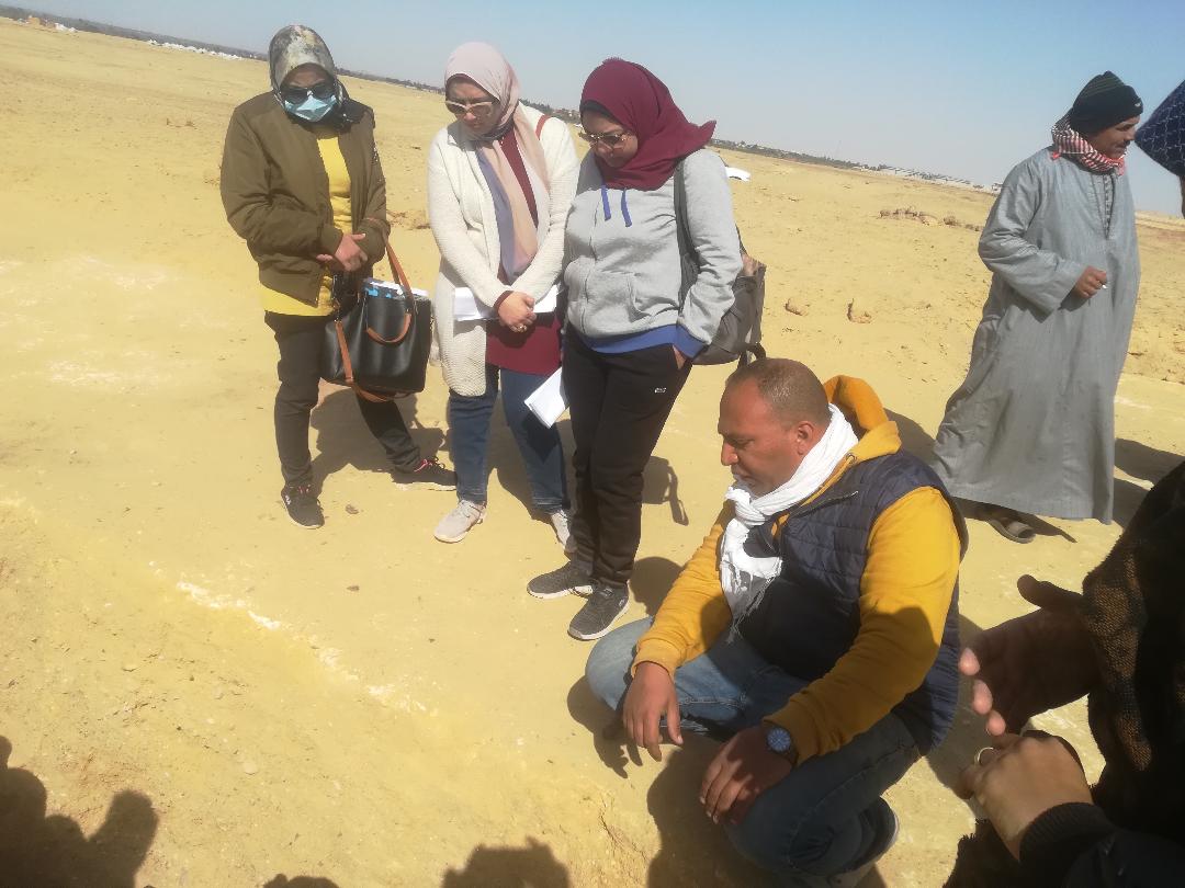 بعثات مصرية وأجنبية في الفيوم