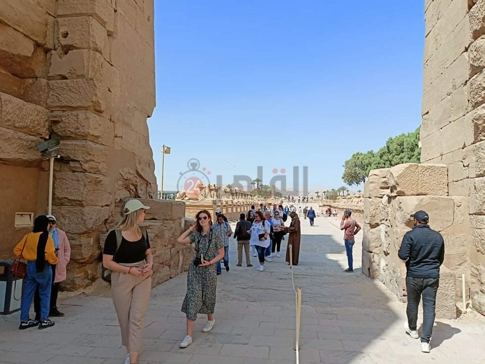 انتعاش السياحة في الأقصر 8