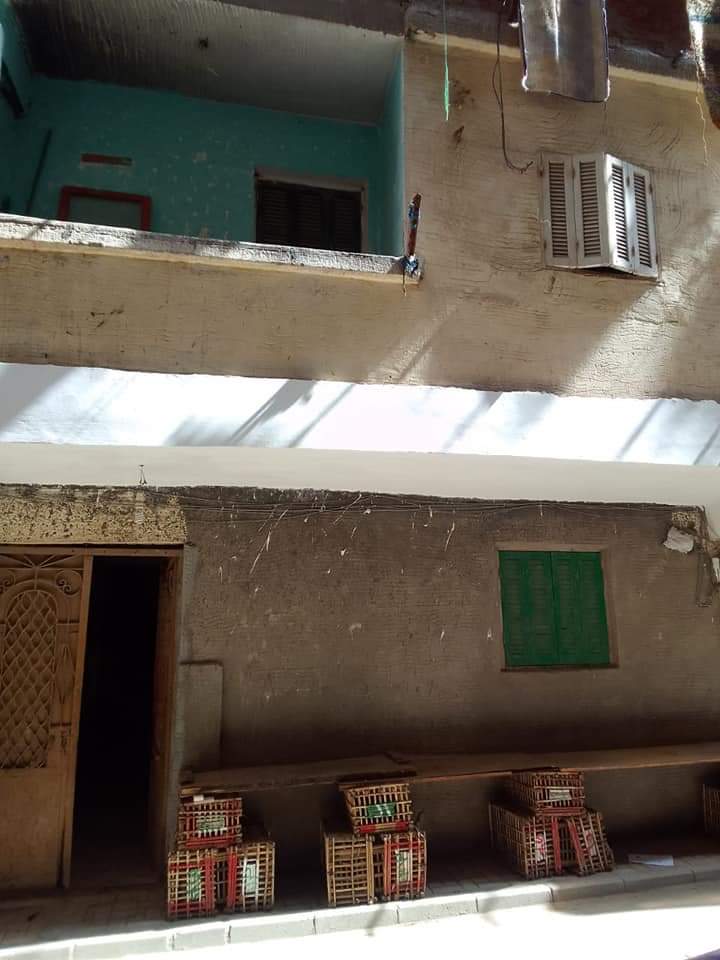 FB_IMG_1647614444191