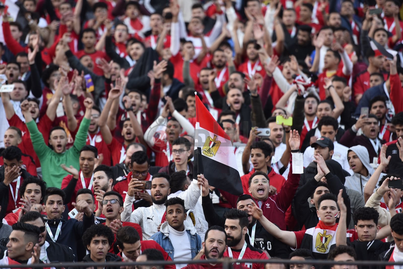 الجماهير في مباراة مصر والسنغال