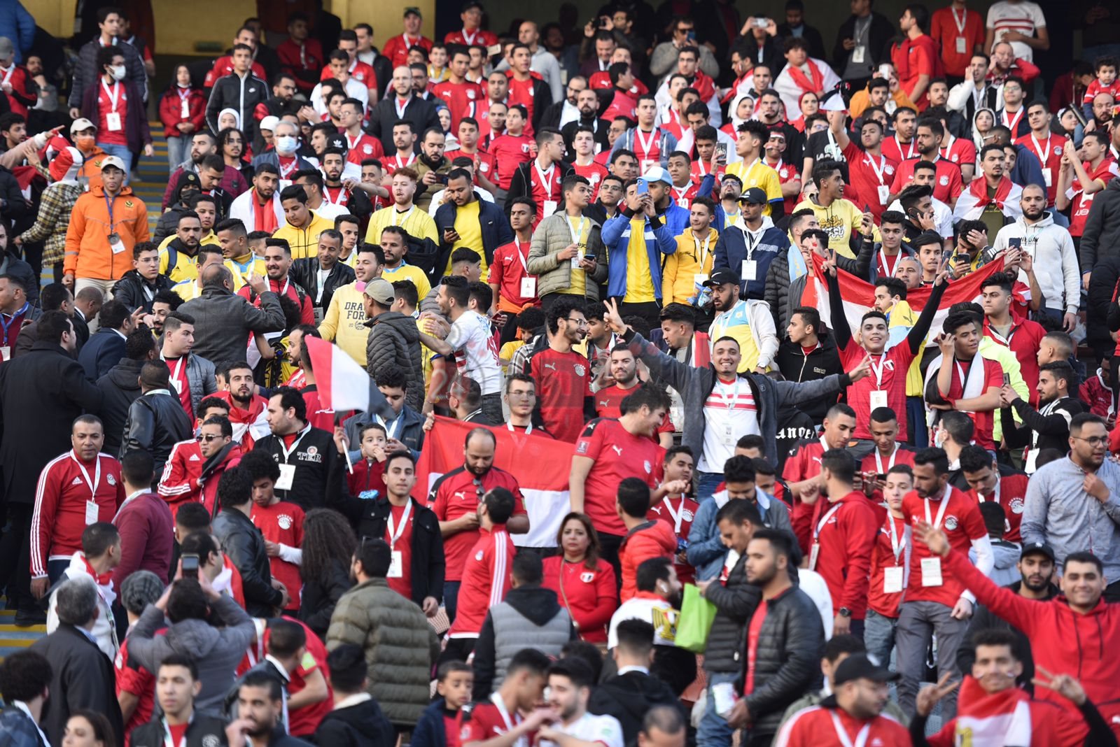 الجماهير في مباراة مصر والسنغال