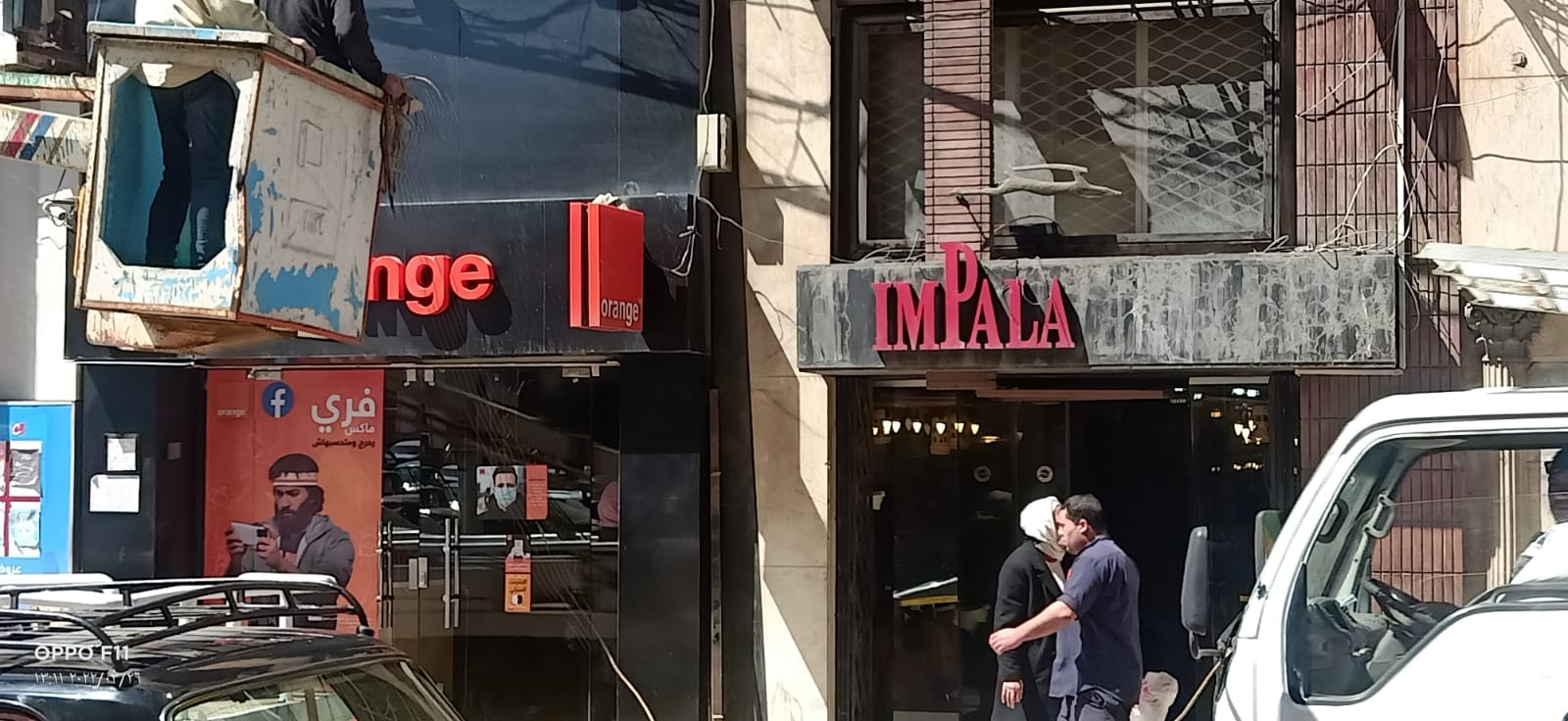 حملات متنوعة بأحياء الإسكندرية 