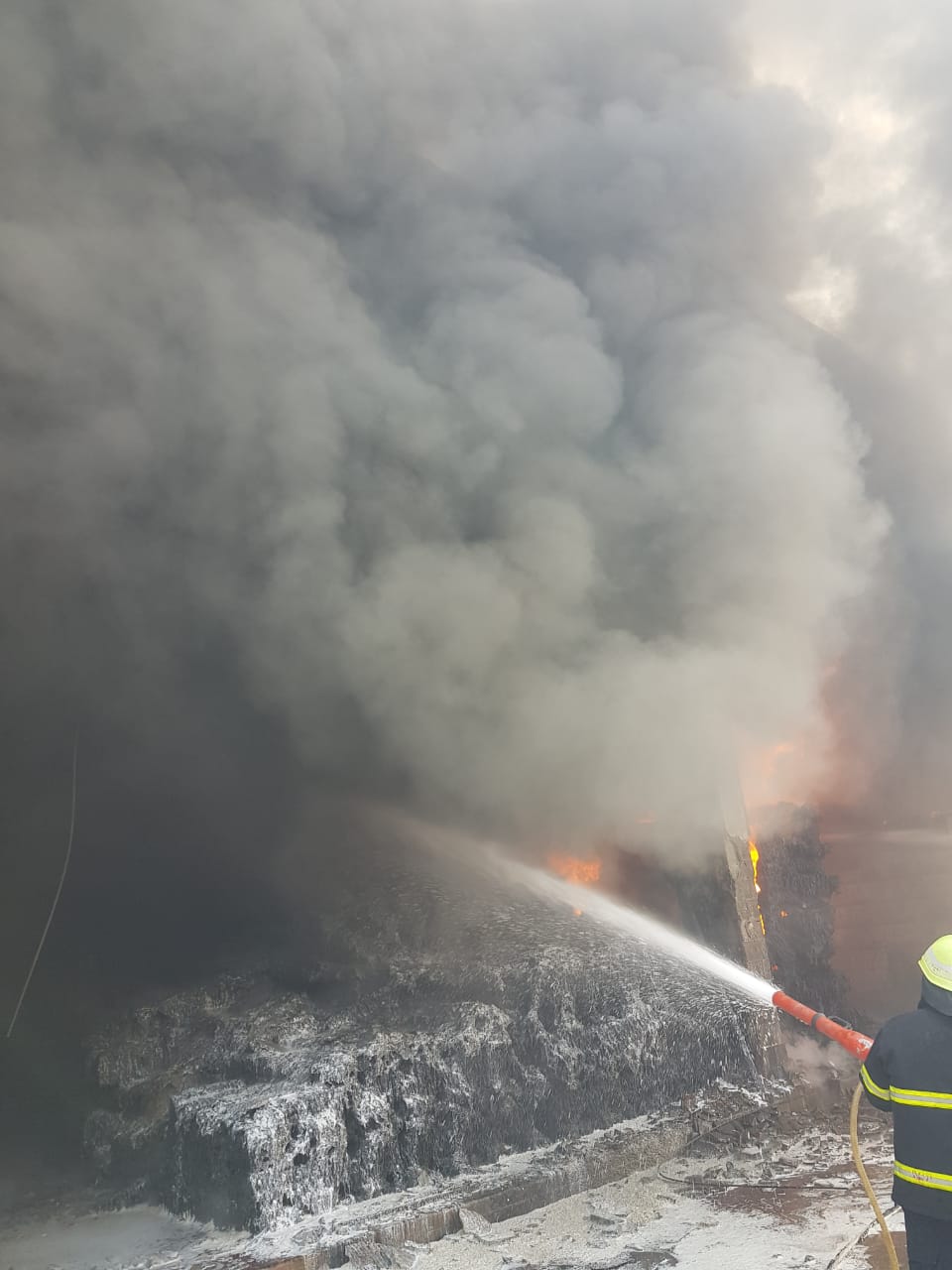 1E1A828C-45DE-4F70-BD4E-D51A7EC1963C