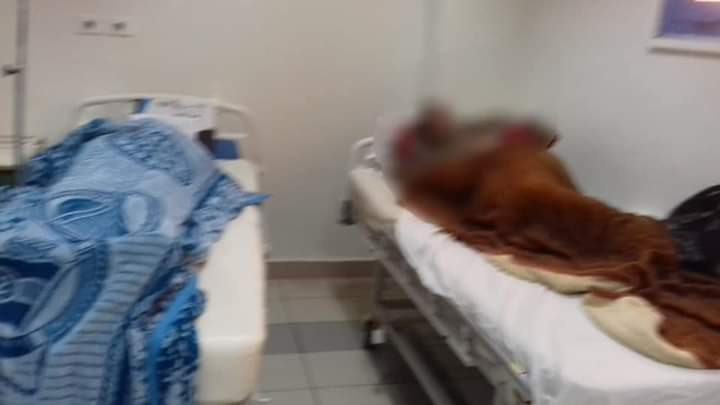 FB_IMG_1648799914873