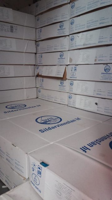 الأسماك المضبوطة 01