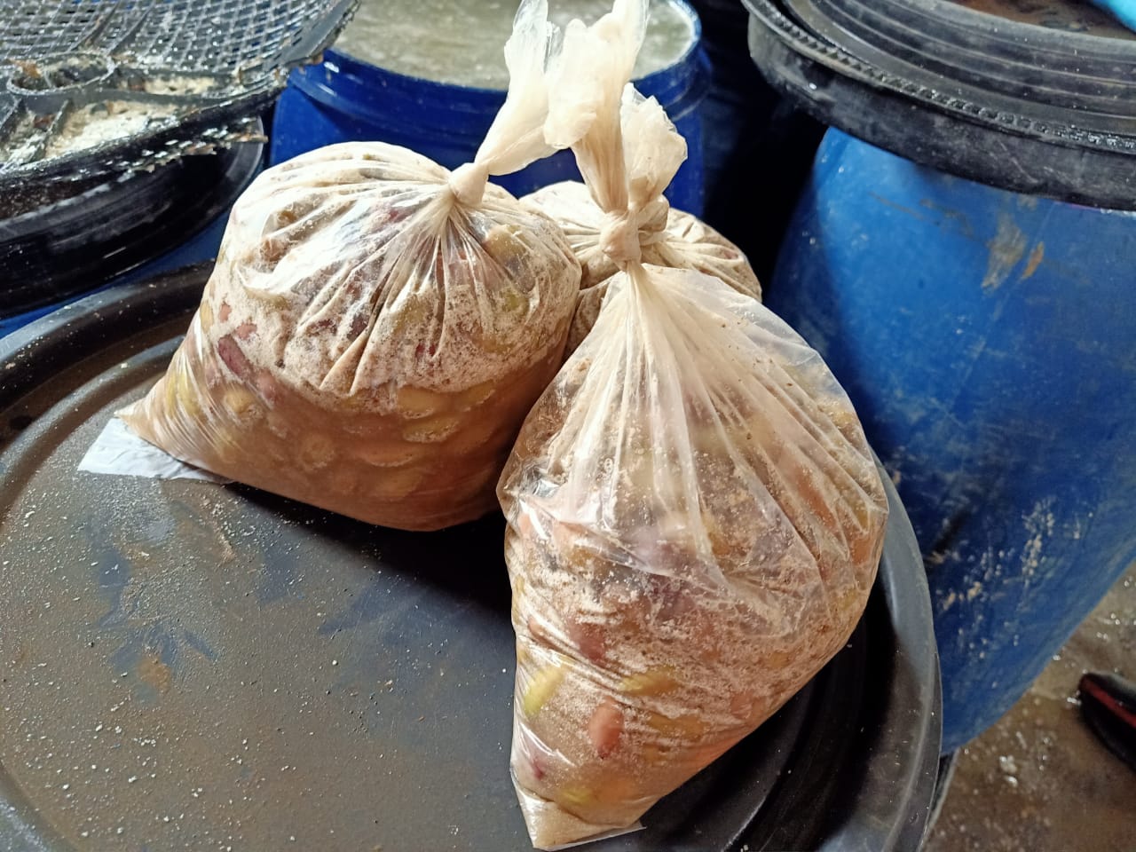 حملة تفتيشية على مصانع المخللات بالشرقية 04