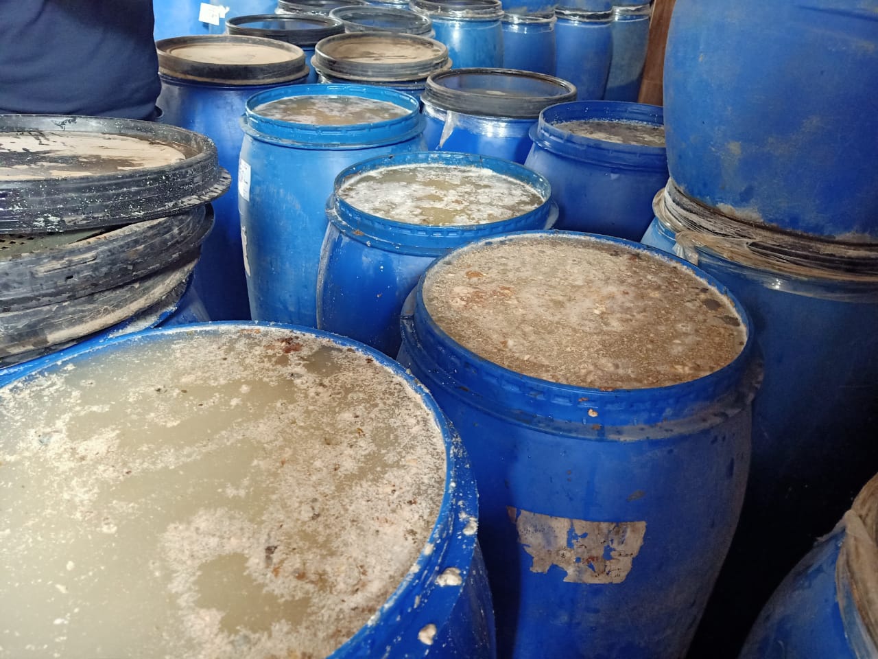 حملة تفتيشية على مصانع المخللات بالشرقية 09