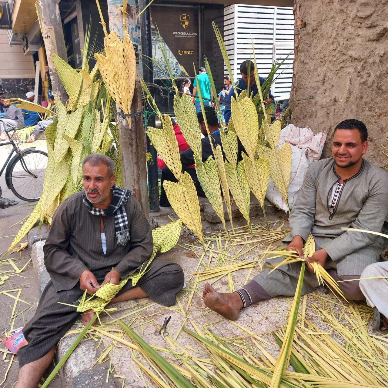 بائعي السعف بأسيوط 