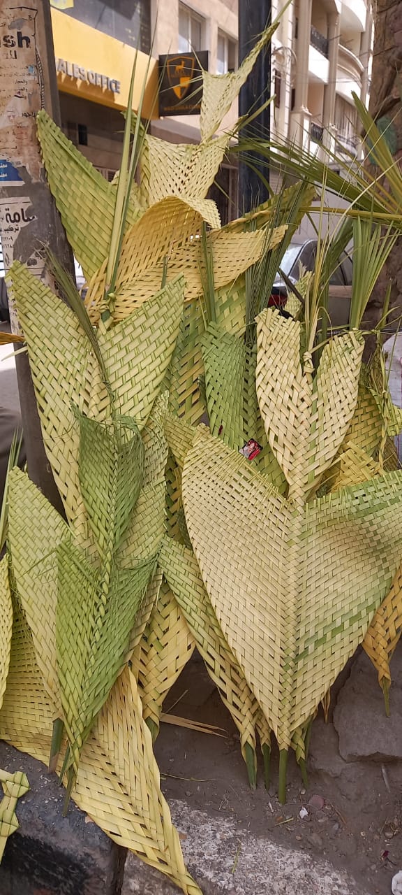 بائعي السعف بأسيوط 