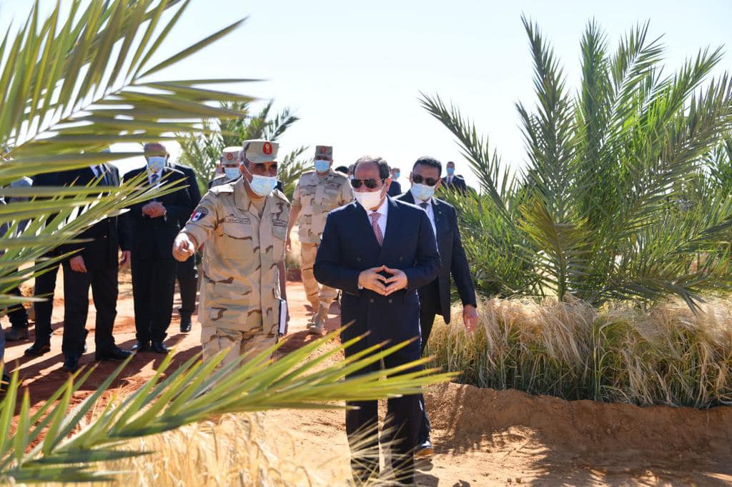 السيسي يتفقد منطقة توشكي ويشهد بدء موسم حصاد القمح