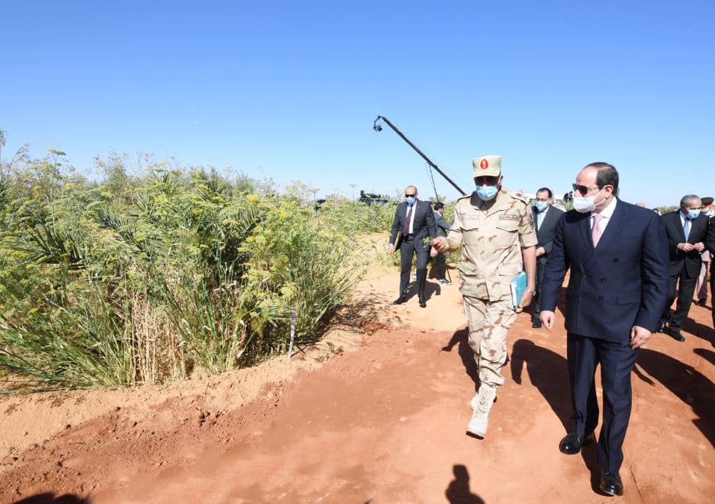 السيسي يتفقد منطقة توشكي ويشهد بدء موسم حصاد القمح