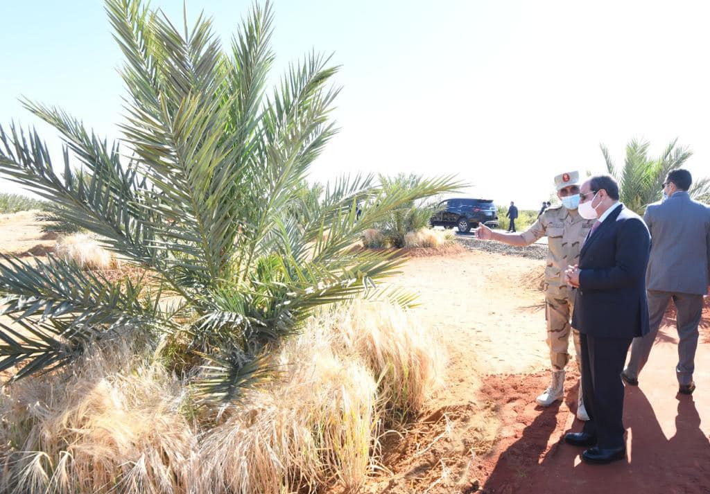 السيسي يتفقد منطقة توشكي ويشهد بدء موسم حصاد القمح