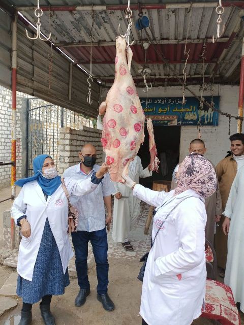 حملات تفتيشية على الأسواق بالشرقية 4