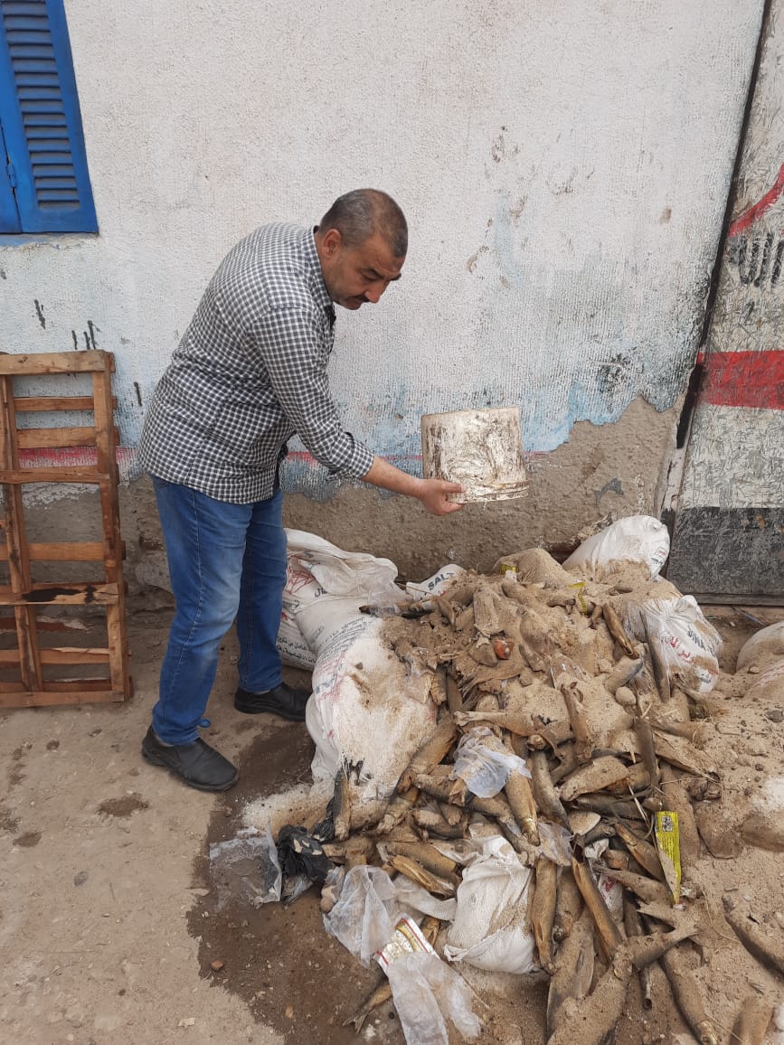 حملة على مصانع الأسماك بالشرقية 04