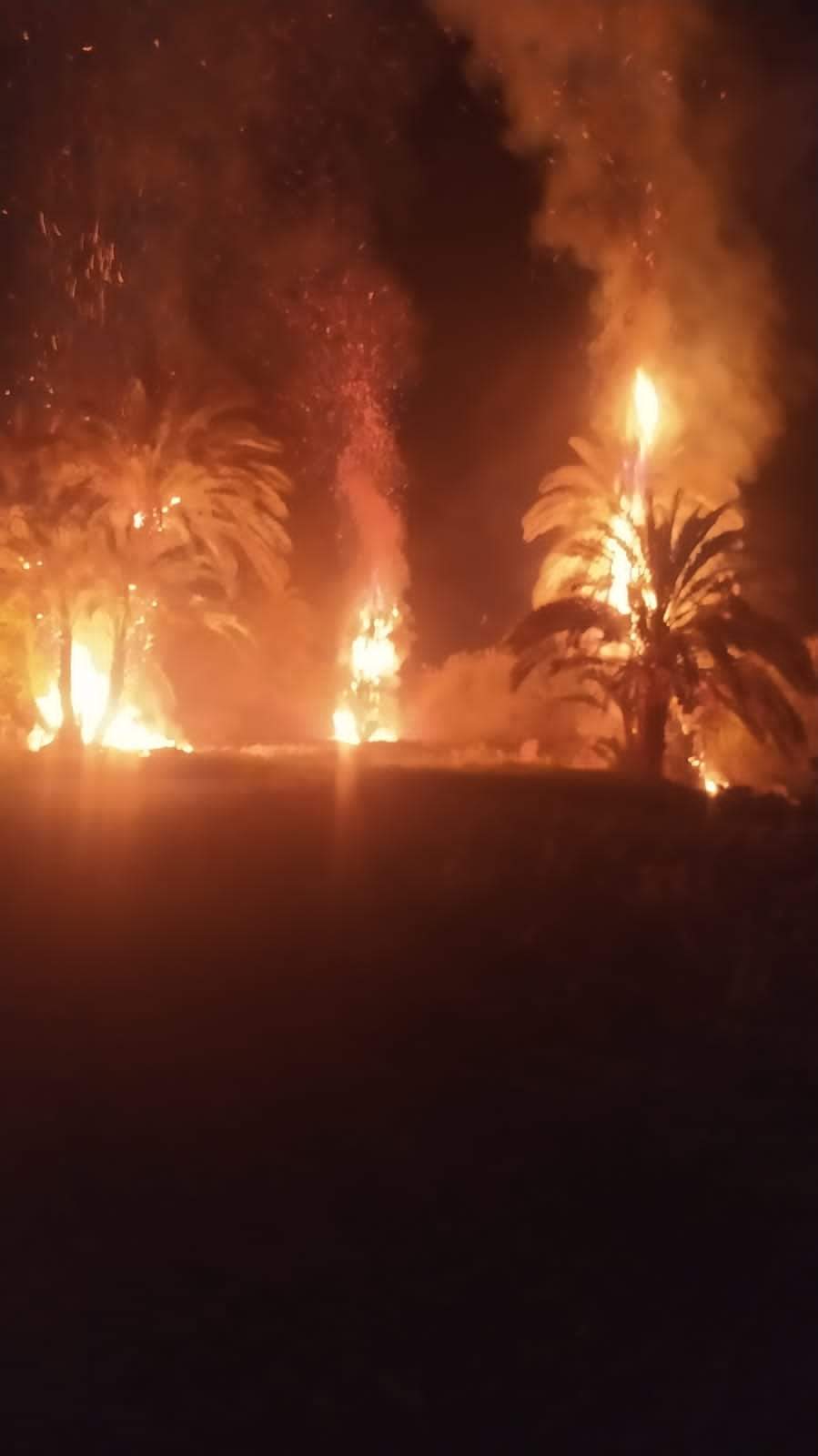 FB_IMG_1651516342497