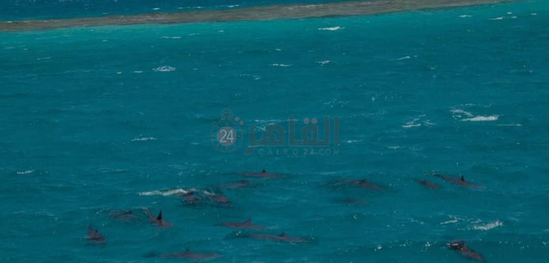 IMG_٢٠٢٢٠٥٠٤_١٢١٣٤١